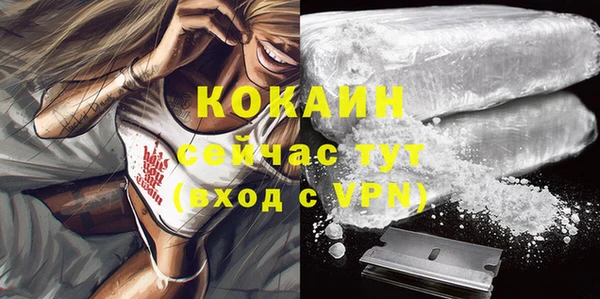 не бодяженный Арсеньев