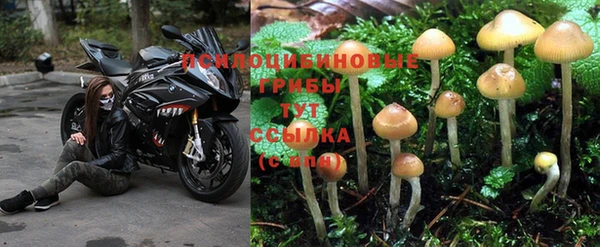 экстази Армянск