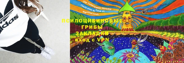 не бодяженный Арсеньев